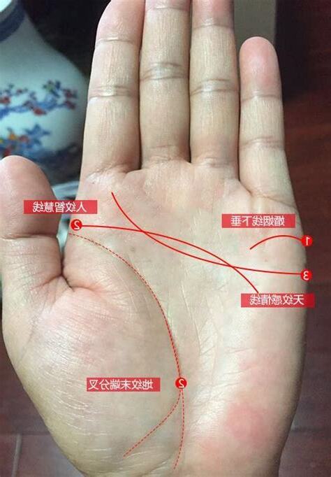 感情線 三叉